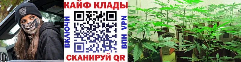 Где найти наркотики Правдинск Канабис  Cocaine  АМФЕТАМИН  ГЕРОИН  Экстази  Меф 