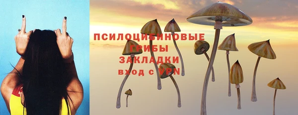 синтетический гашиш Арсеньев