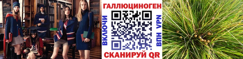 Галлюциногенные грибы Magic Shrooms  mega как зайти  Правдинск 