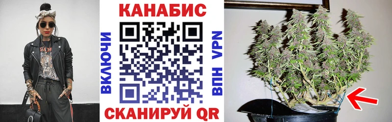 Канабис планчик  продажа наркотиков  Правдинск 